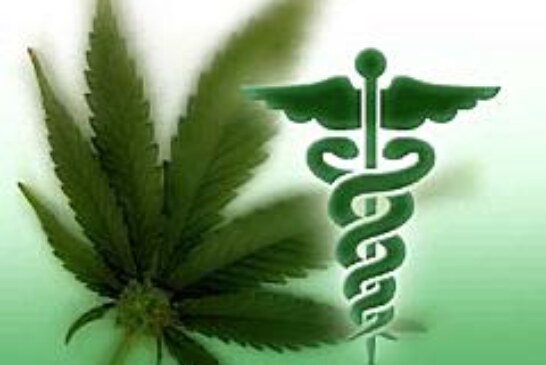 Medical Marijuana Question 3 passed in Massachusetts