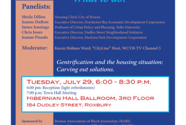 Development & Displacement in Boston 7/29