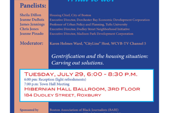 Development & Displacement in Boston 7/29