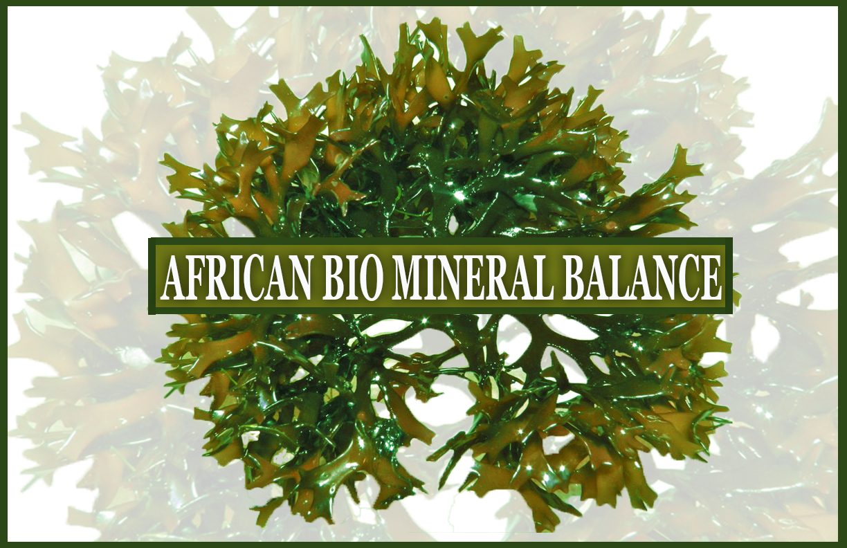 AFRICAN BIO MINERAL BALANCE LOGO3