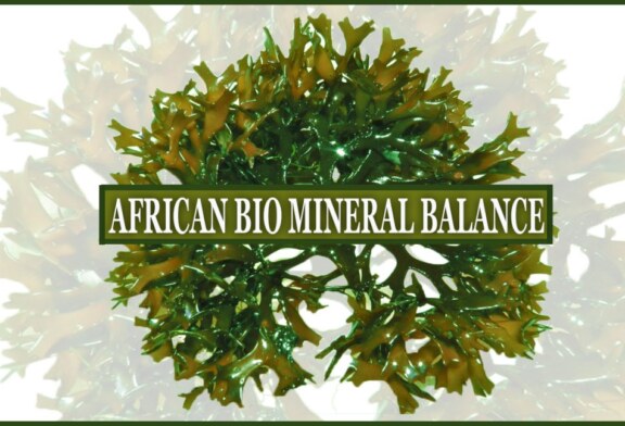 The African Bio Mineral Balance