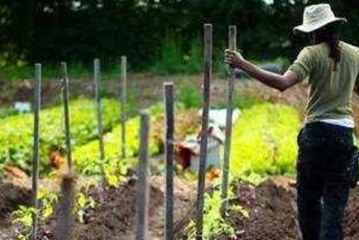 5th Annual Massachusetts Urban Farming Conference