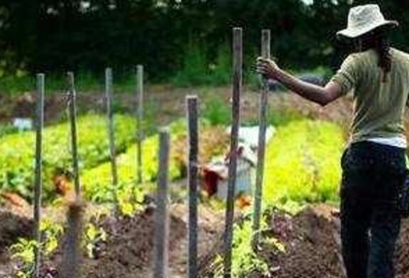 5th Annual Massachusetts Urban Farming Conference