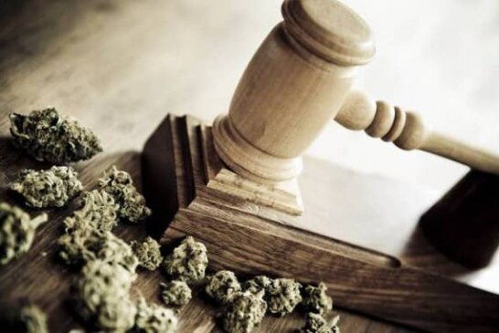 Suffolk County Criminal Record Marijuana Expungement