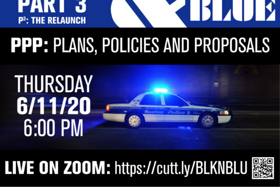 Black & Blue III – PPP (Plans, Policies & Proposals)